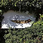 Les Sanguinaires N'7 - T2 Vue Mer, Piscine & 아작시오