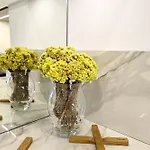 Les Sanguinaires N'7 - T2 Vue Mer, Piscine &