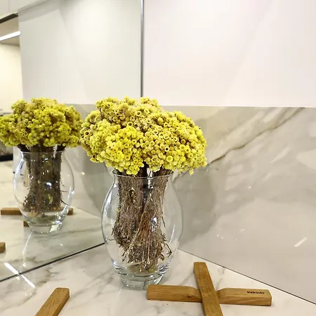 T2 Harmonie - élégance, Vue Mer, Piscine&plage